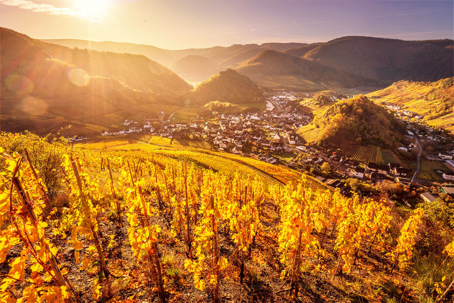 Blick auf Mayschoß an einem Herbstmorgen